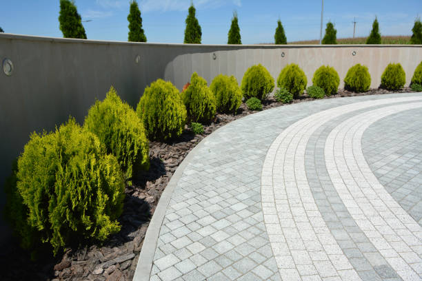 Best Driveway Paving Near Me  in Gray, TN