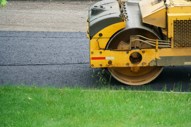 Best Local Driveway Pavers  in Gray, TN